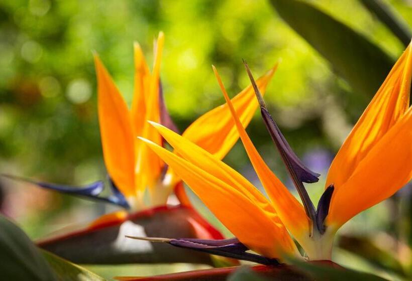 هتل Villa Elisa & Spa