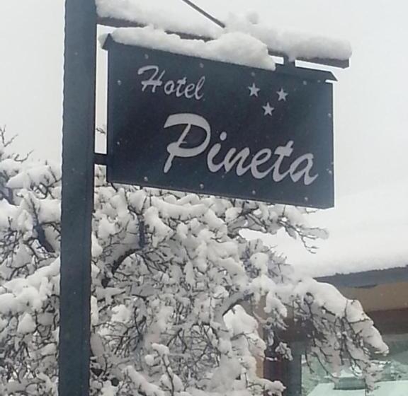 ホテル Pineta