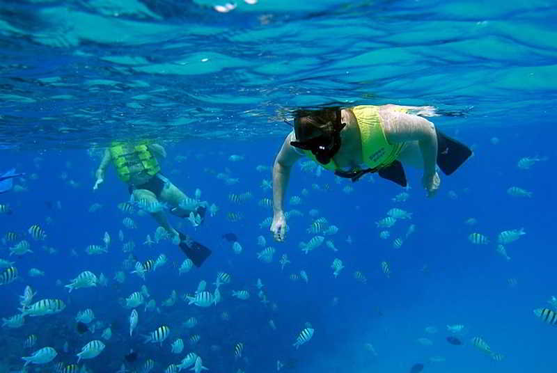 El Cozumeleno Beach Resort  All Inclusive