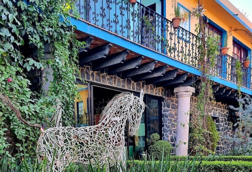هتل Hacienda De Las Flores