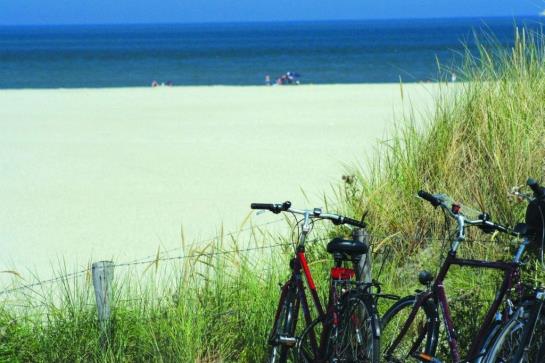 ホテル De Witte Raaf