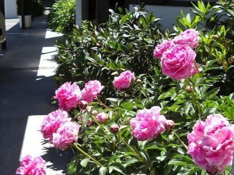 Gothic Heights Motel