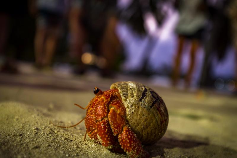 هتل Aitutaki Lagoon Private Island Resort