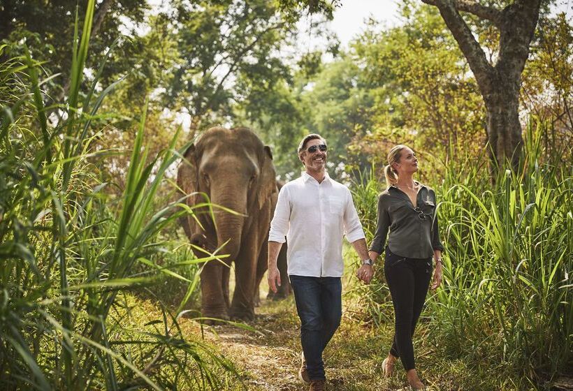 هتل Anantara Golden Triangle Elephant Camp & Resort