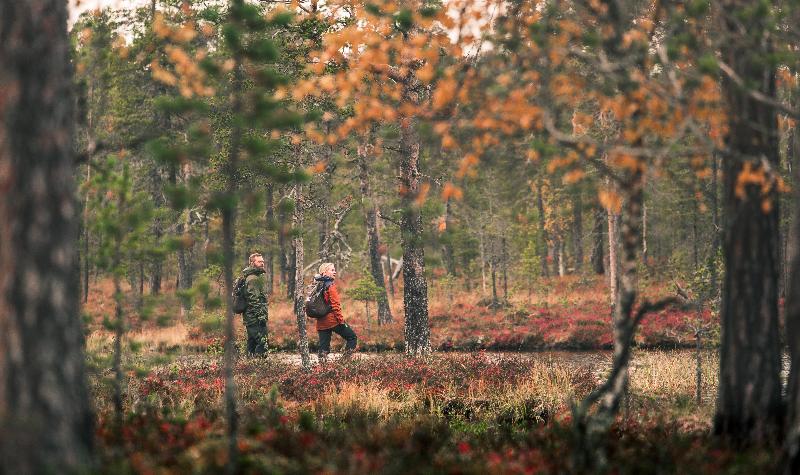 Lapland Hotels Sky Ounasvaara
