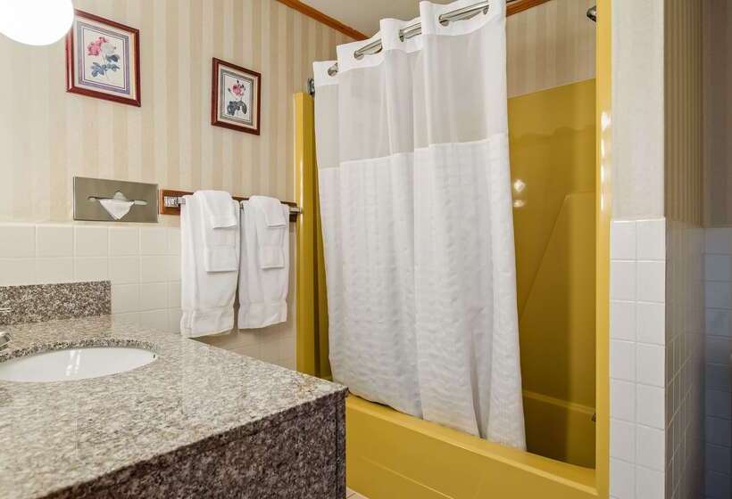 فندق Best Western Adirondack Inn