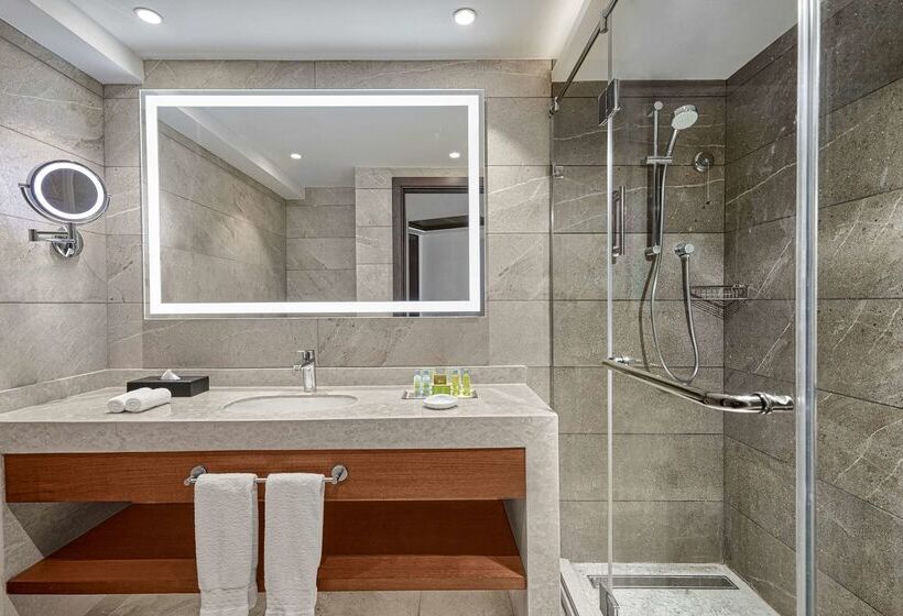 هتل Ramses Hilton