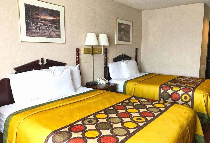 酒店 Americas Best Value Inn Ullin Mounds