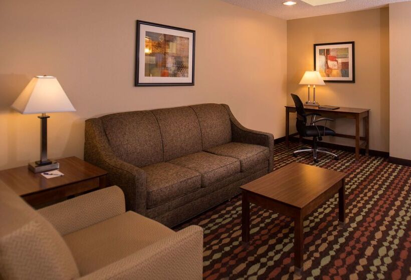 هتل Best Western Ambassador Inn & Suites