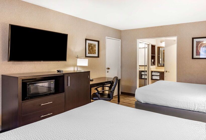 בית מלון כפרי Best Western Country Inn Temecula