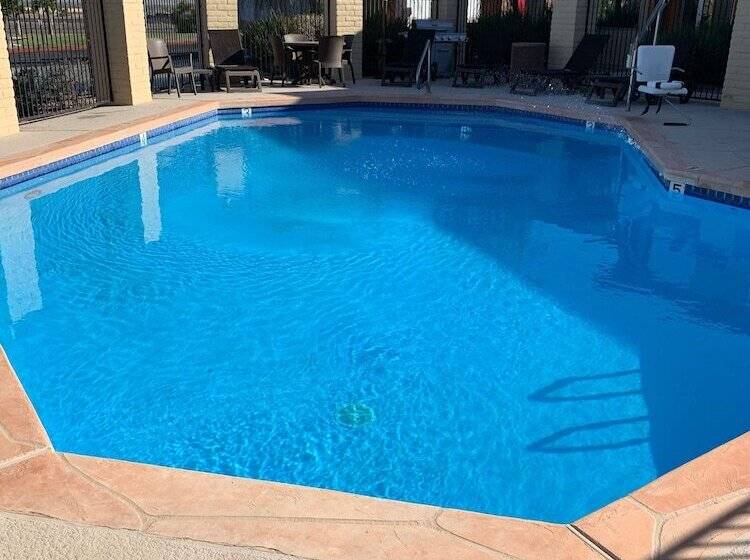 فندق Best Western Desert Oasis