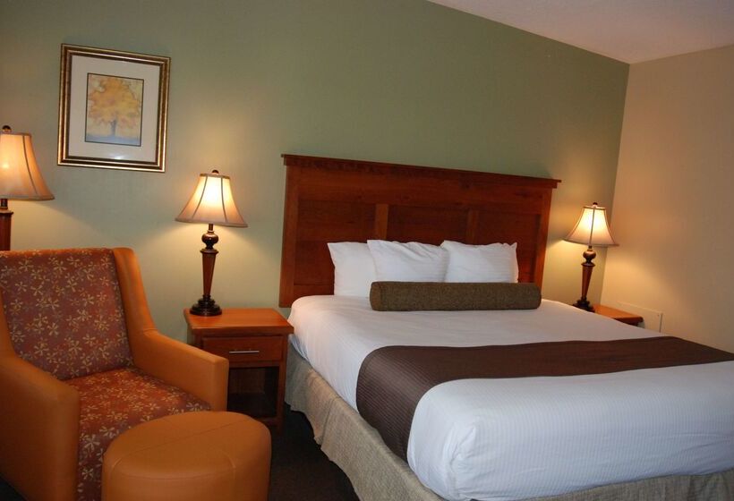 בית מלון כפרי Best Western Driftwood Inn