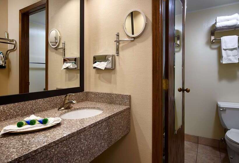 酒店 Best Western Inn Of St. Charles
