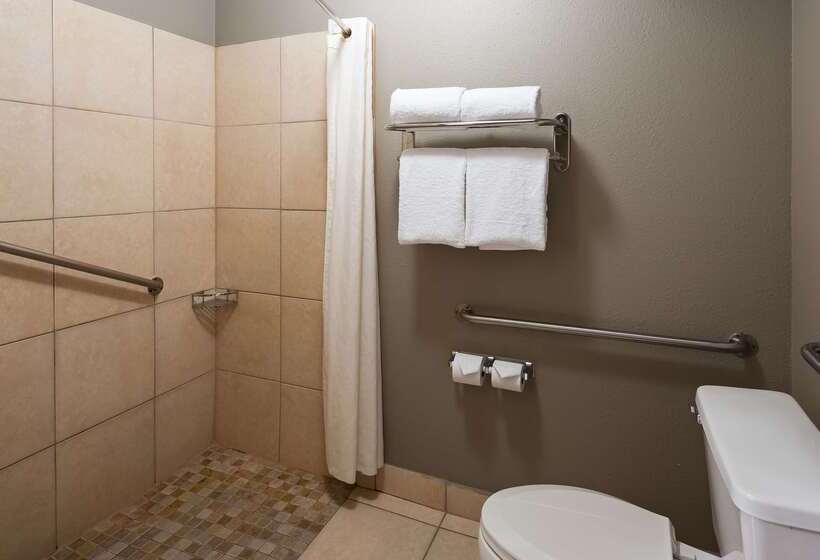 בית מלון כפרי Best Western Mccarran Inn
