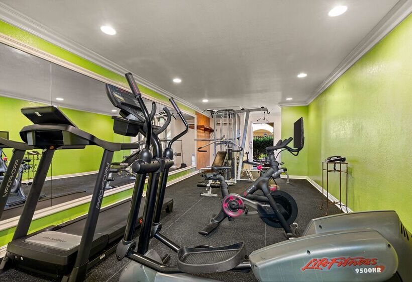 Best Western Moreno Hotel & Suites