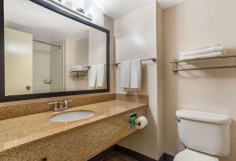 酒店 Best Western Oak Manor