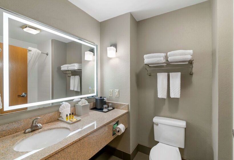 בית מלון כפרי Best Western Plus Denton Inn & Suites