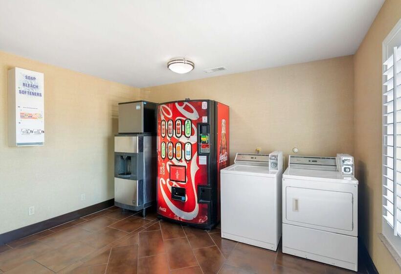 בית מלון כפרי Best Western Plus Denton Inn & Suites