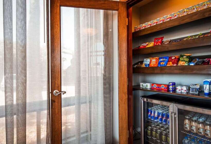 هتل Best Western Plus Executive Inn & Suites