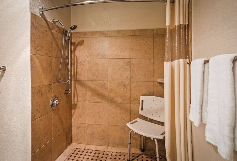 هتل Best Western Plus Executive Inn & Suites