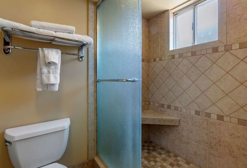 هتل Best Western Plus Kings Inn And Suites