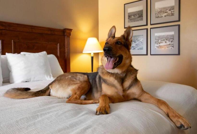 هتل Best Western Plus Kings Inn And Suites