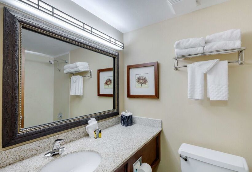 هتل Best Western Plus Loveland Inn
