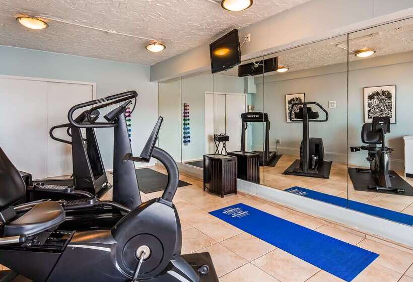 Отель Best Western Plus Yacht Harbor Inn