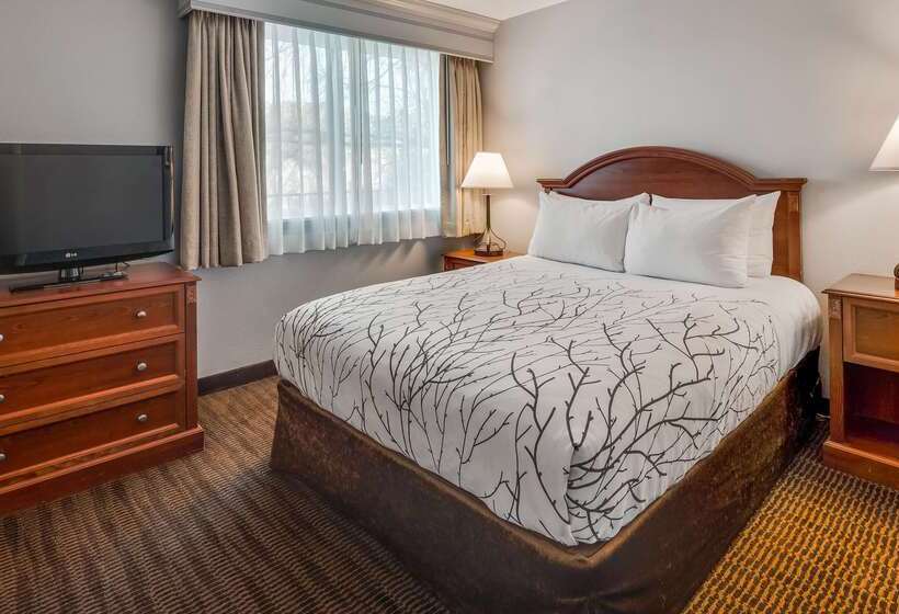 בית מלון כפרי Best Western Prescottonian