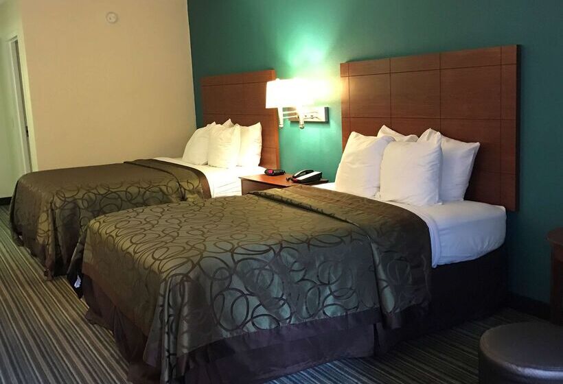 酒店 Best Western Tallahasseedowntown Inn And Suites