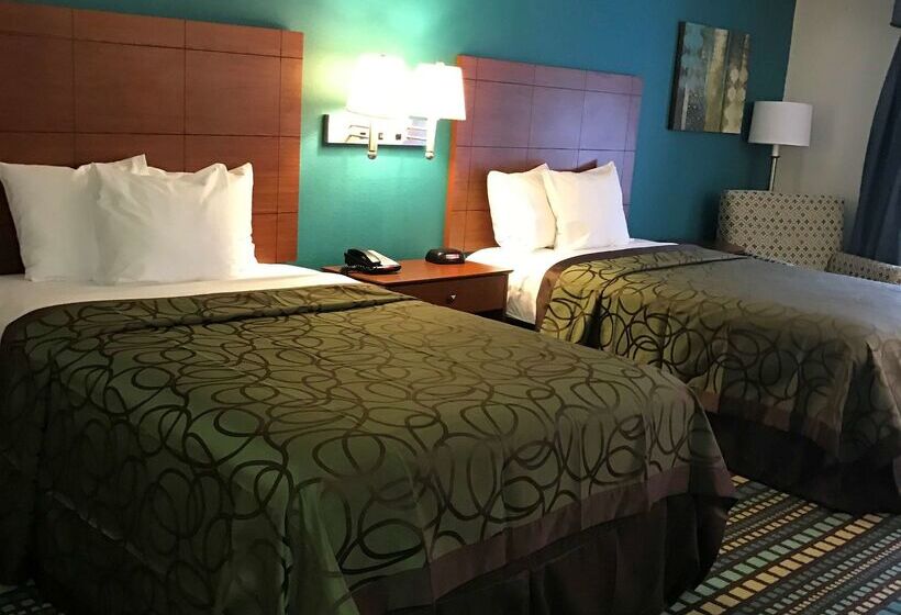 酒店 Best Western Tallahasseedowntown Inn And Suites