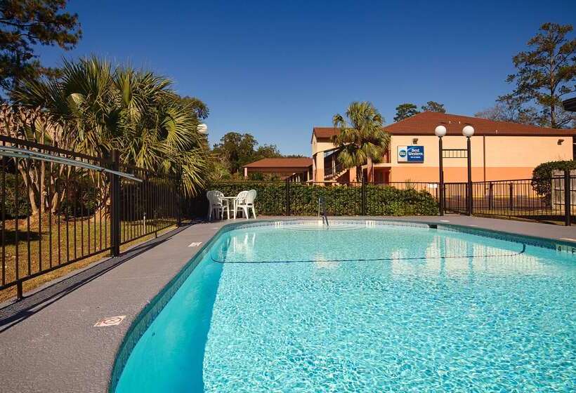 酒店 Best Western Tallahasseedowntown Inn And Suites