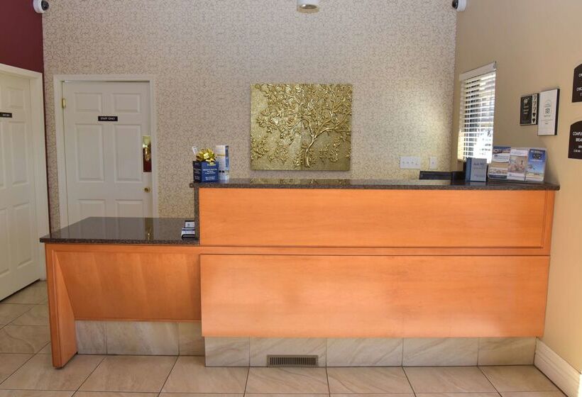 酒店 Best Western Winchester