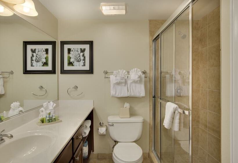 هتل Bluegreen Vacations Patrick Henry Sqr, Ascend Resort Collection