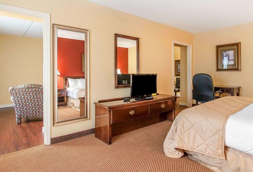 فندق Clarion Inn & Suites University Center