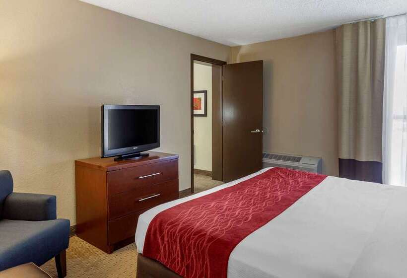 酒店 Comfort Inn & Suites Rochelle   Dekalb