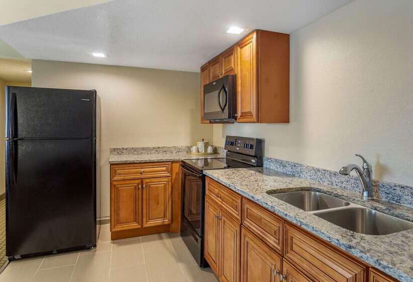 酒店 Comfort Inn & Suites Rochelle   Dekalb