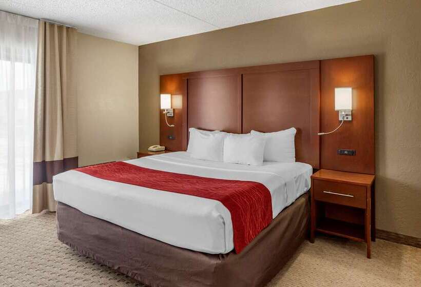 酒店 Comfort Inn & Suites Rochelle   Dekalb