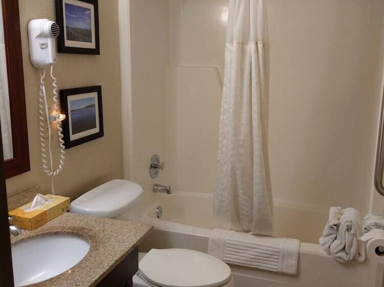 酒店 Comfort Inn & Suites Rochelle   Dekalb