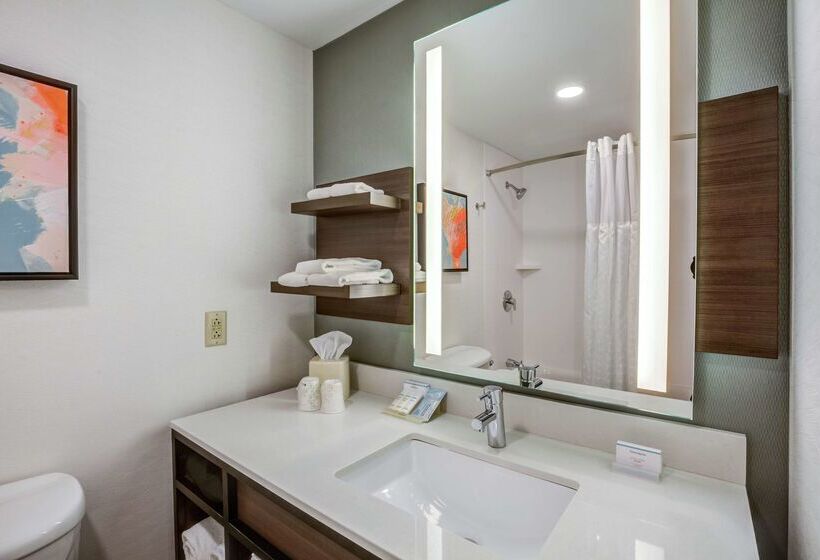 בית מלון כפרי Hilton Garden Inn Boston/waltham