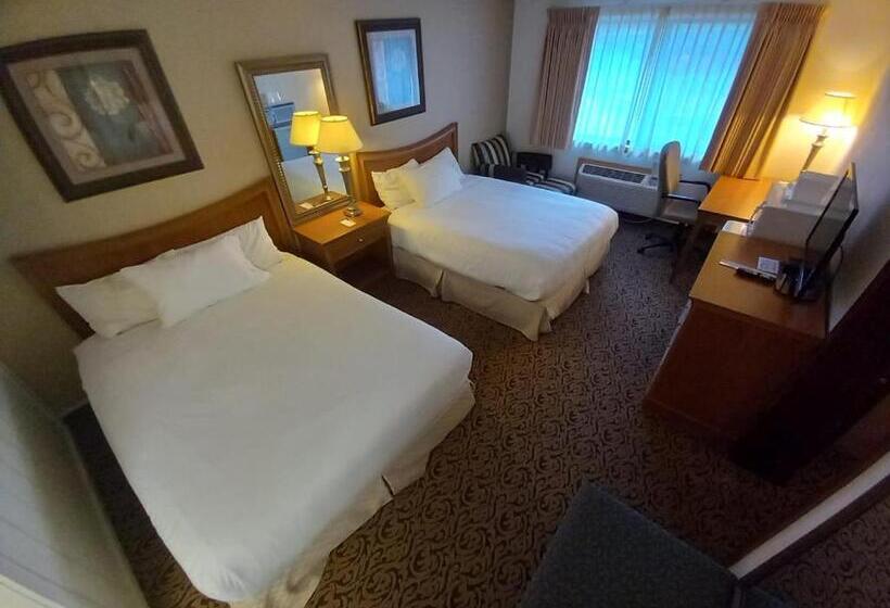 فندق Lupine Inn