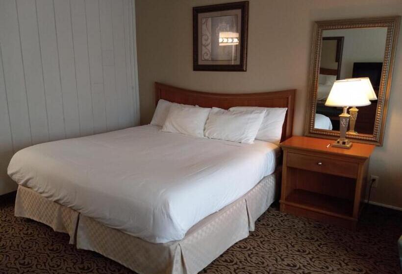 فندق Lupine Inn