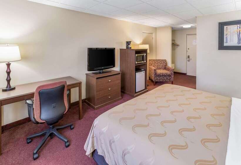 酒店 Quality Inn & Suites Downtown