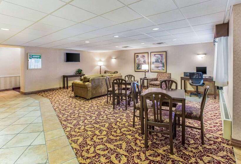 酒店 Quality Inn & Suites Downtown