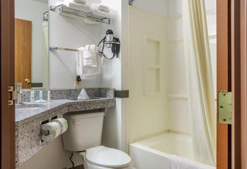 酒店 Quality Inn & Suites