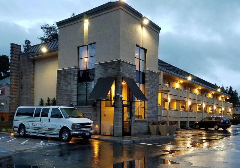 בית מלון כפרי Strata