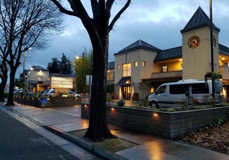 בית מלון כפרי Strata