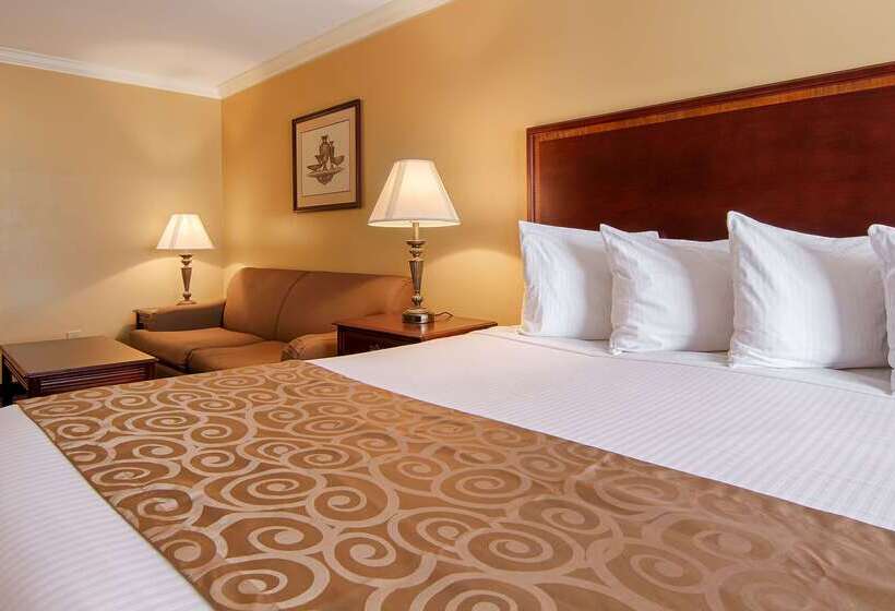 فندق على الطريق Best Western Forest Inn