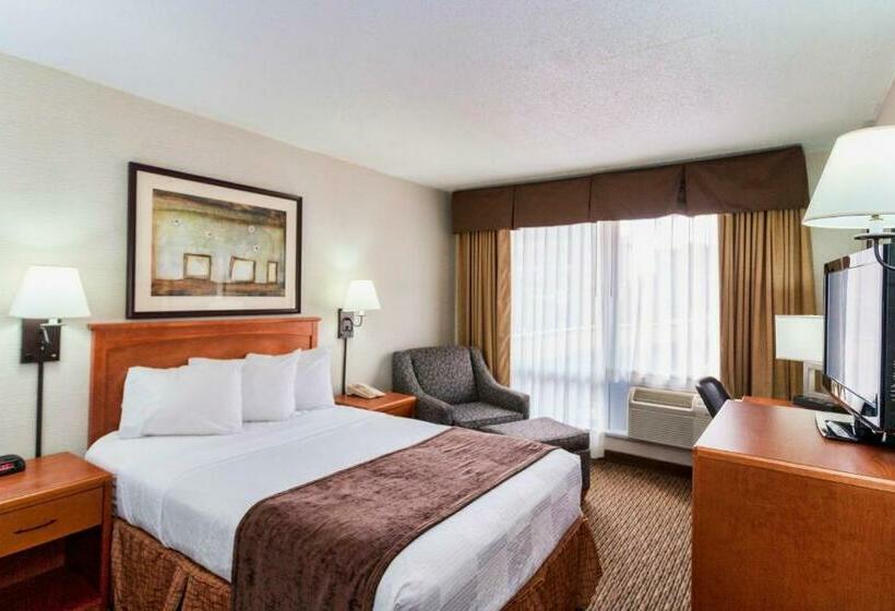 مُتل The Downtown Duluth Inn