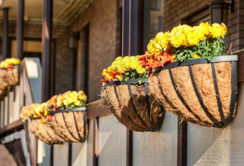 مُتل The Downtown Duluth Inn